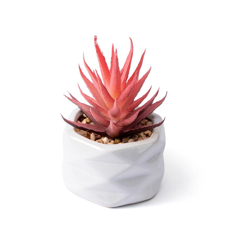 Planta Artificial - Suculenta - C6xL6xA10CM