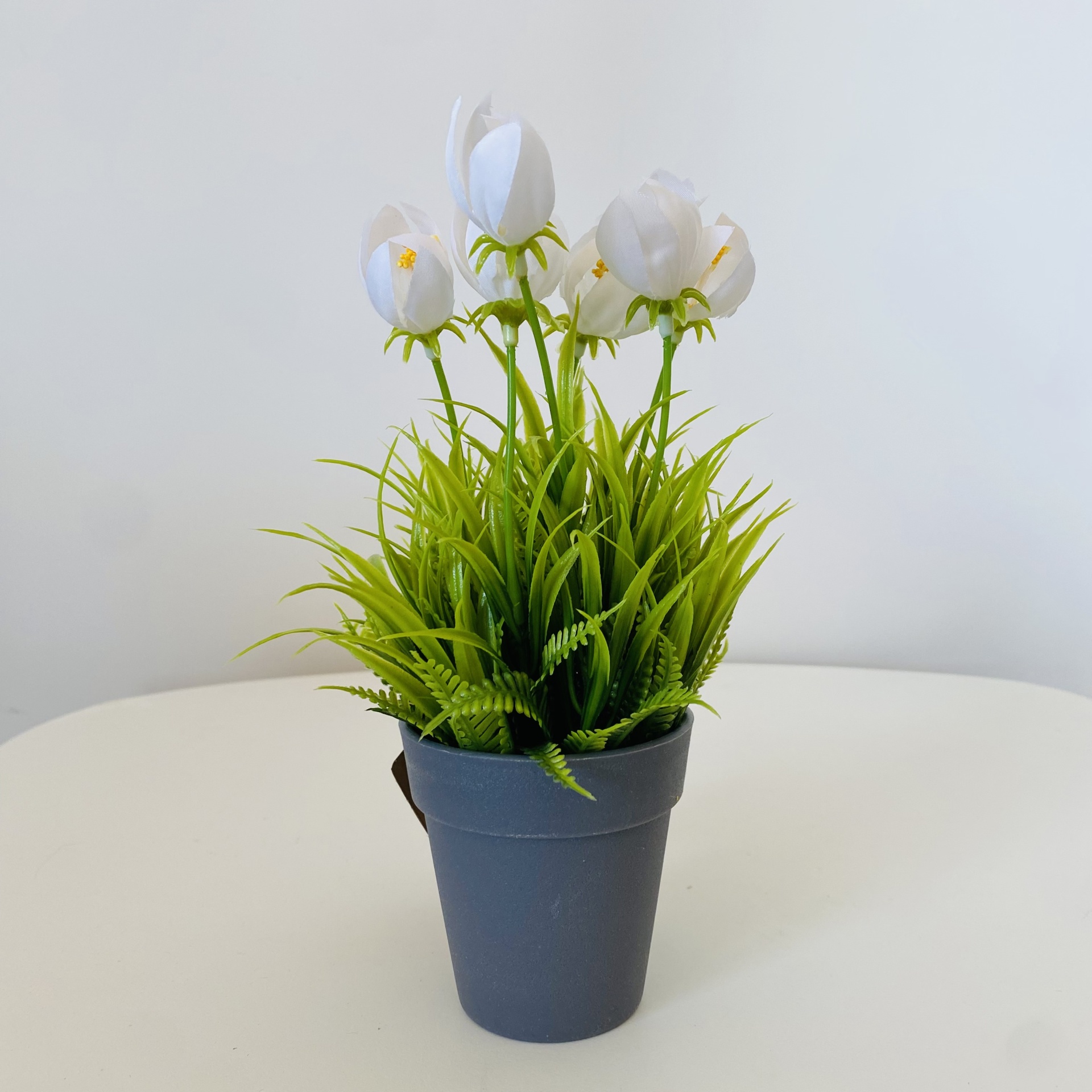 Planta Artificial com Flor em Vaso - C10xL10xA20CM - Branco e Verde