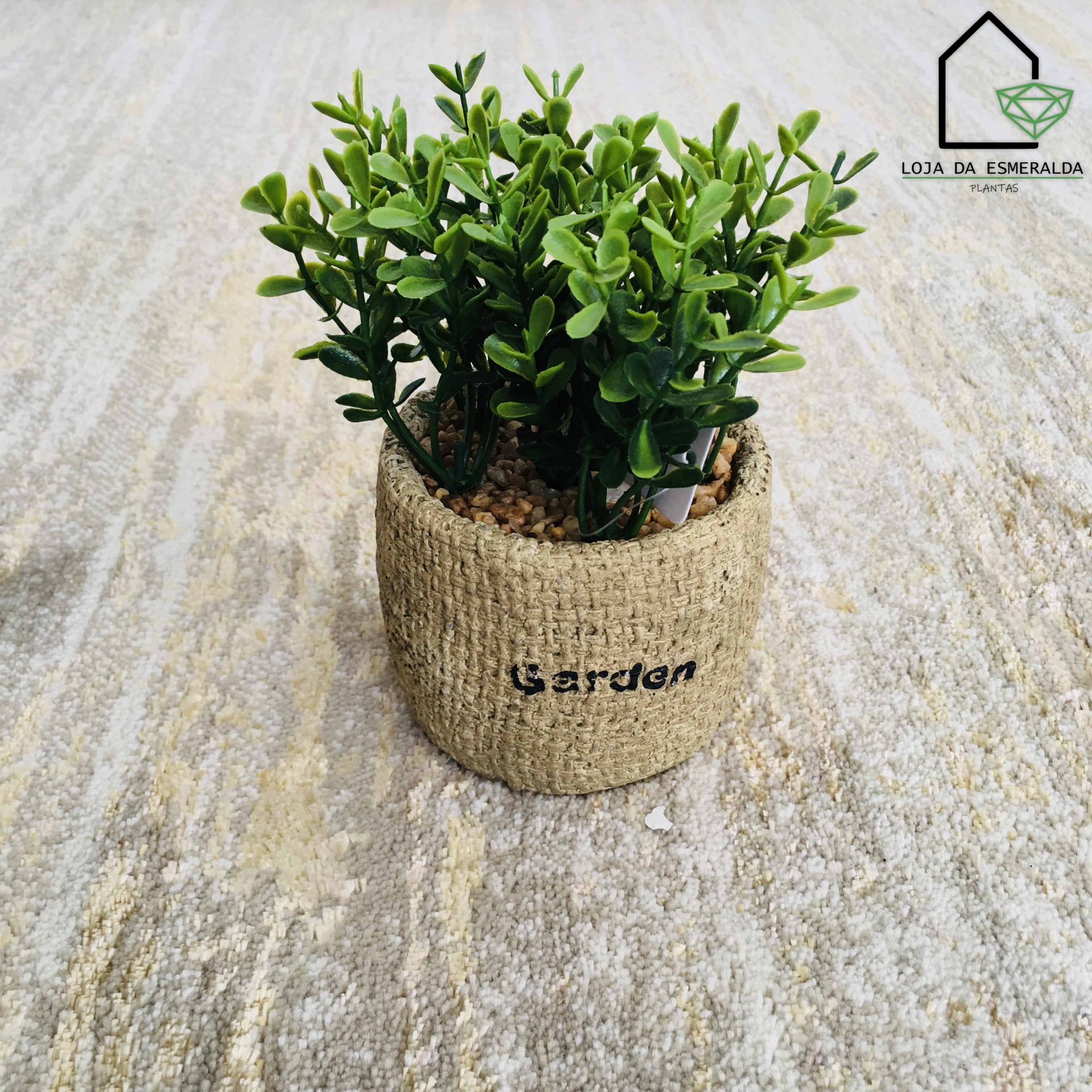 Plantas Garden 15cm