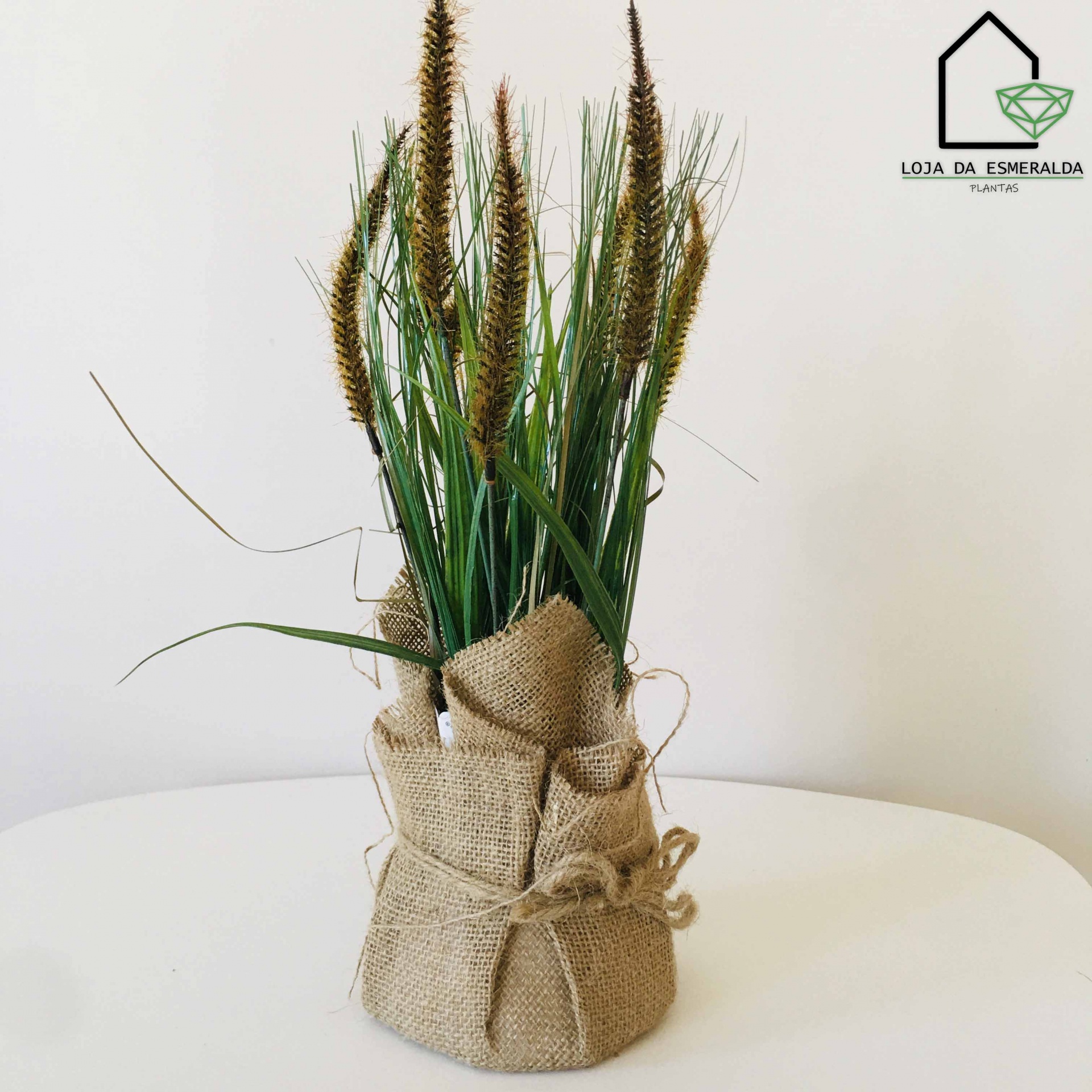 Plantas Decorativas | Sarapilheira