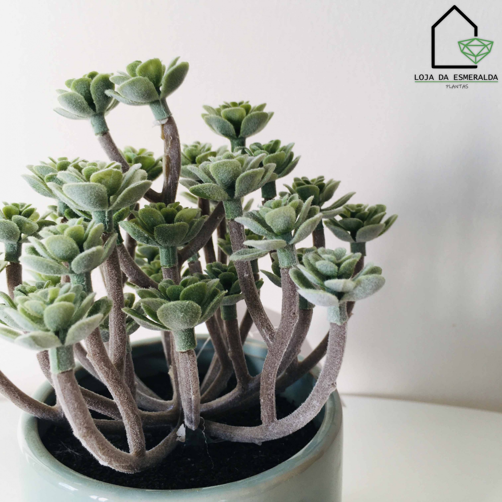 Vaso com Planta Oriente | 9x9x17CM