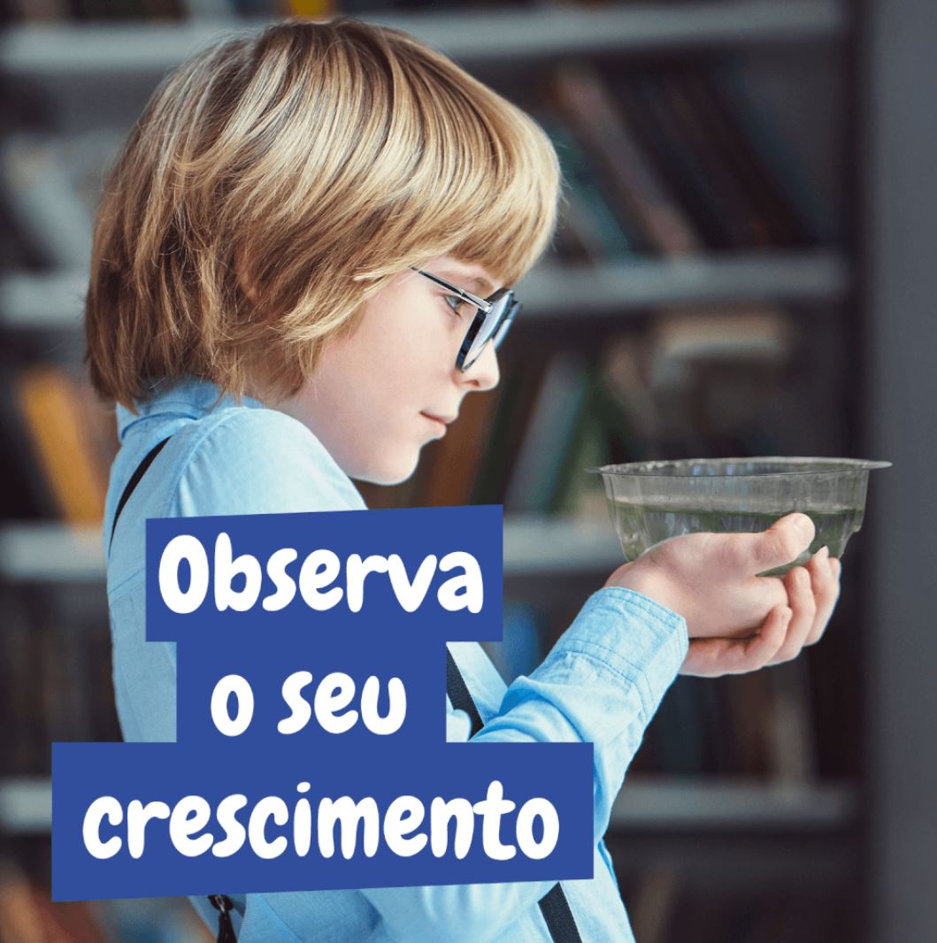 Brinquedo - Kit Criaturas Jurássicas - Mais de 6 Anos - Science4you