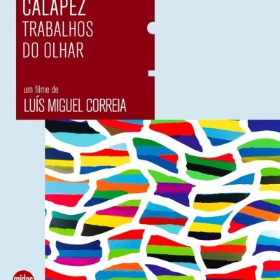 Pedro Calapez - Trabalhos do Olhar