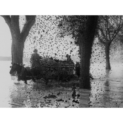 Bill Morrison: Footprints Bill Morrison: Footprints