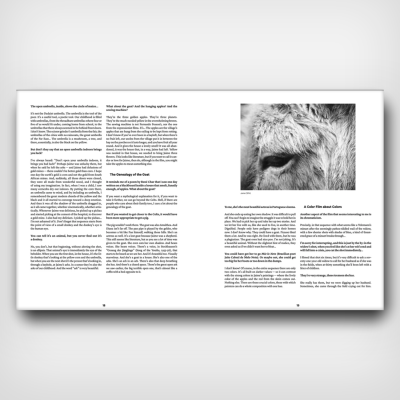 In the Midst of the End of the World: António Reis and Margarida Cordeiro