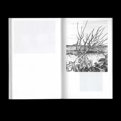 Each Eye Reflects Its Own Rainbow – Paulo Mariz Each Eye Reflects Its Own Rainbow – Paulo Mariz