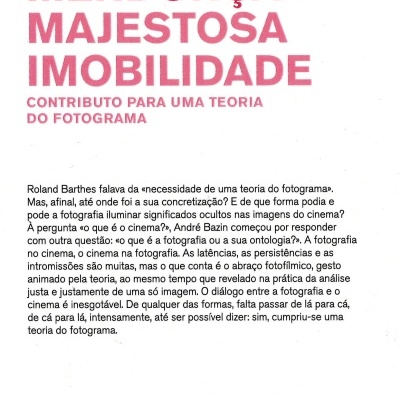 Majestosa Imobilidade - Contributo para uma Teoria do Fotograma
