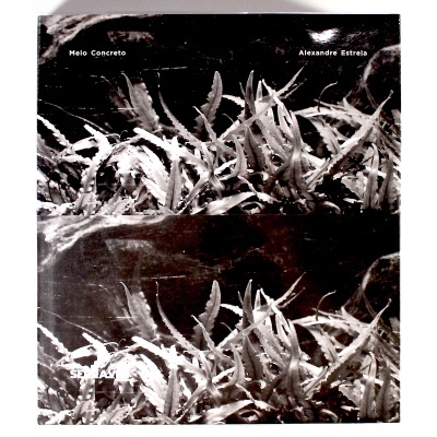 Alexandre Estrela: Meio Concreto