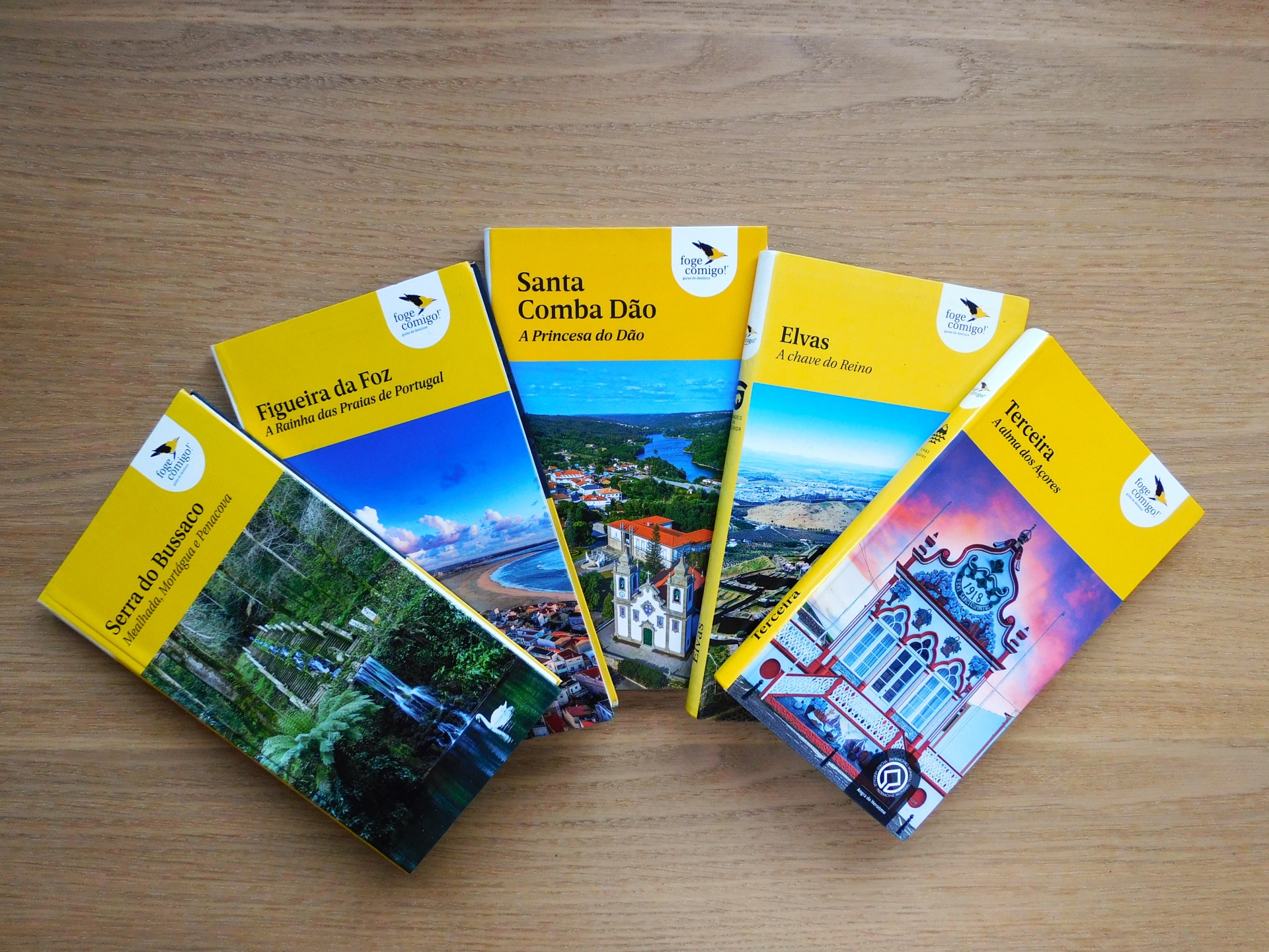 POUPA COMIGO | Campanha do Dia de Todos os Santos (2024)