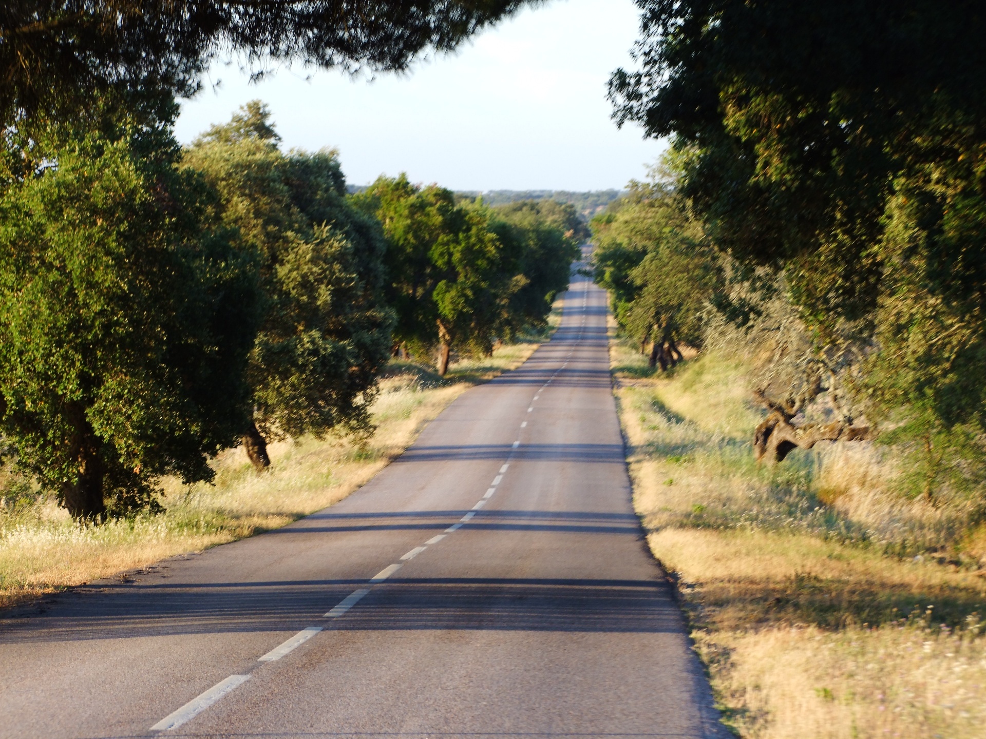 POUPA COMIGO | Edições anteriores do guia EN2 com desconto especial