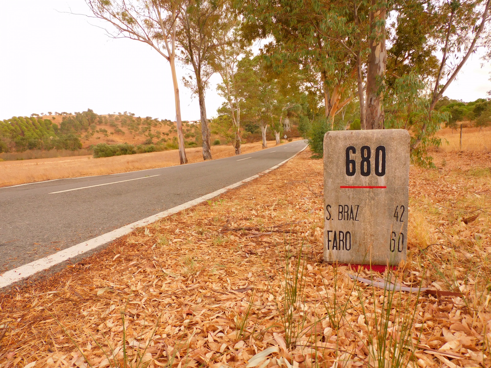 VOA COMIGO! | Participa no guia EN2 (6ª edição)