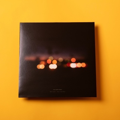 Vinil (LP) -  Dear Future