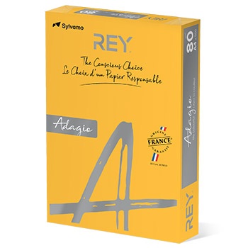 Papel Fotocopia Ouro / Damasco Int Adagio(cd60) A4 80g 1x500F