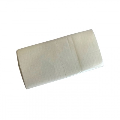 Guardanapo branco 22x22 folha simples cx 30 maços