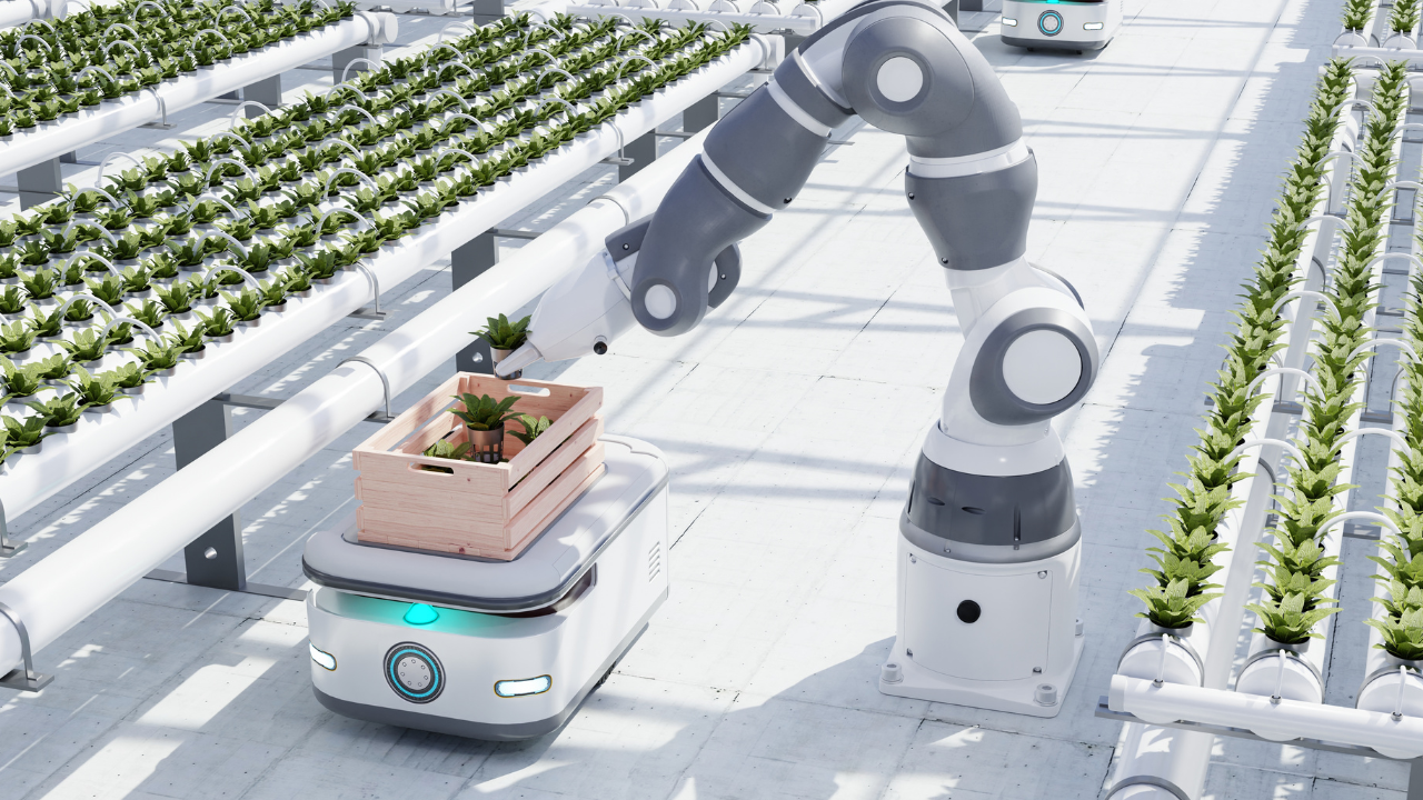 Tendências Futuras em Hidroponia Tendências Futuras em Hidroponia