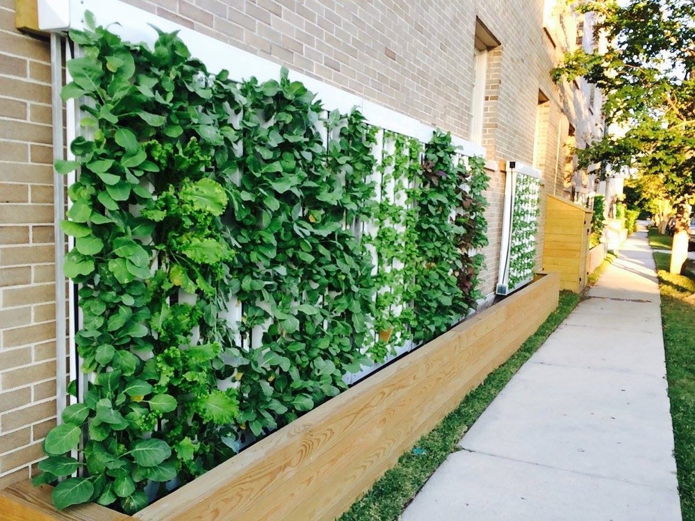 Como fazer uma horta em hidroponia? Como fazer uma horta em hidroponia?