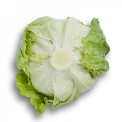 https://www.groho.pt/product/alface-iceberg_peletizada-salmarinas https://www.groho.pt/product/alface-iceberg_peletizada-salmarinas