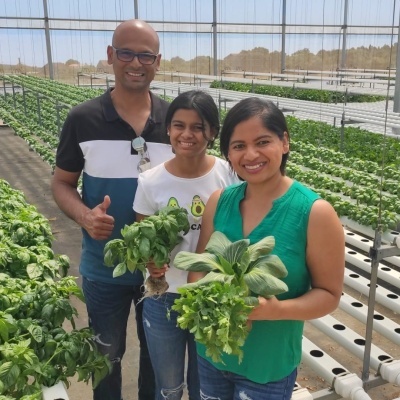 Workshop Hidroponia Teórico-Prático com Visita Estufa - Data a definir.