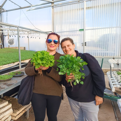 Workshop Hidroponia Teórico-Prático com Visita Estufa - Data a definir.