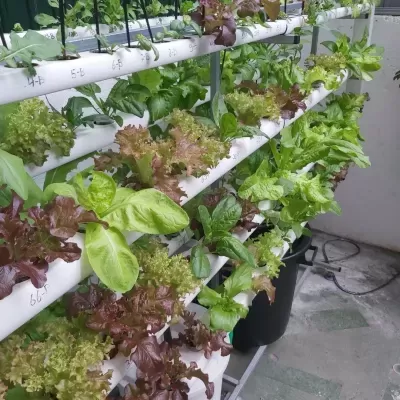 Hydro 160 Vertical Móvel