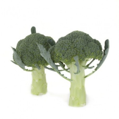 https://www.groho.pt/product/sementes-brocolos-orantes https://www.groho.pt/product/sementes-brocolos-orantes