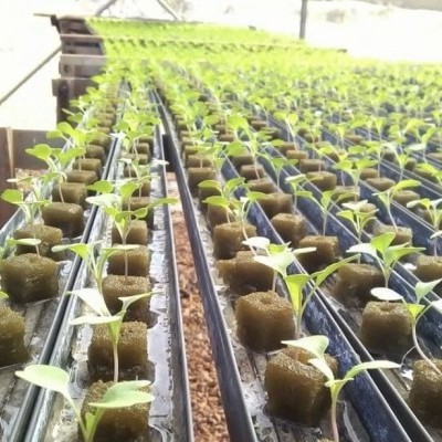 Placa Espuma Fenólica 2x2x2.4