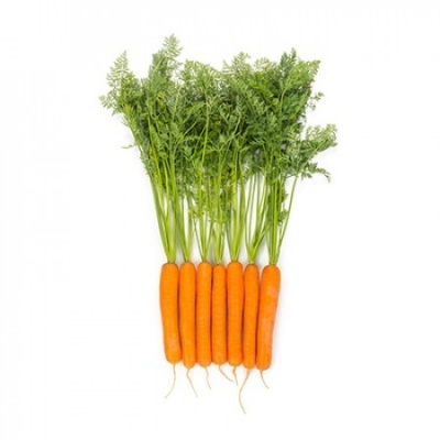 Cenoura YMER Cenoura YMER