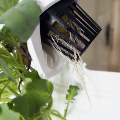 Face com suporte de cesto