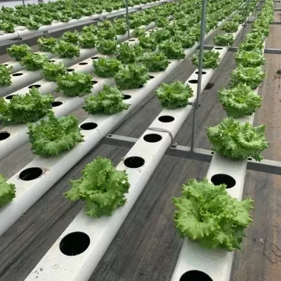 1 metro Perfil Produção (80 mm) - 2 mão