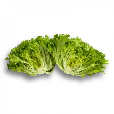 Alface Frisada Verde DESIRADE