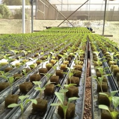 Placa Espuma Fenólica 2x2x2.4