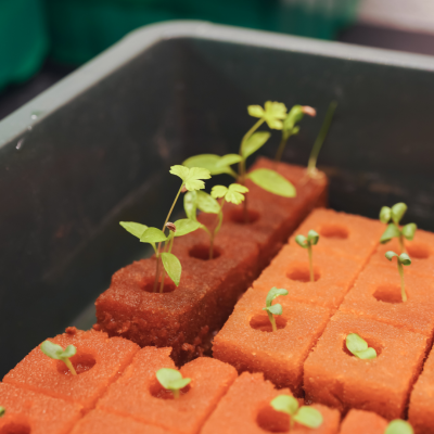 Placa Espuma Fenólica 2x2x2.4