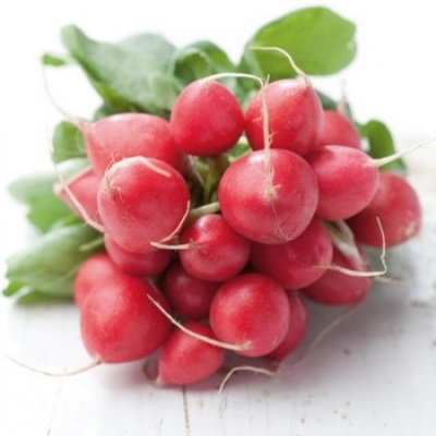 https://www.groho.pt/product/sementes-rabanete https://www.groho.pt/product/sementes-rabanete