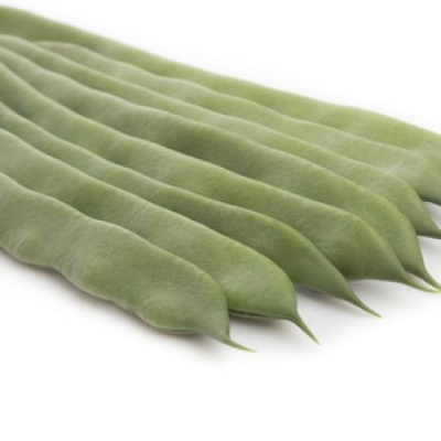 https://www.groho.pt/product/sementes-feijao-verde-faiza https://www.groho.pt/product/sementes-feijao-verde-faiza