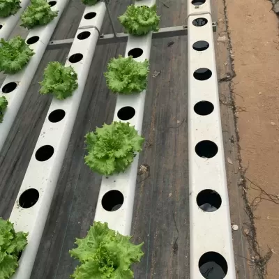 1 metro Perfil Produção (80 mm) - 2 mão