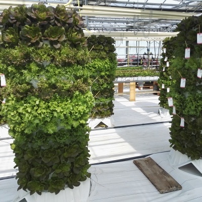 Torre Aeroponia - 120 plantas