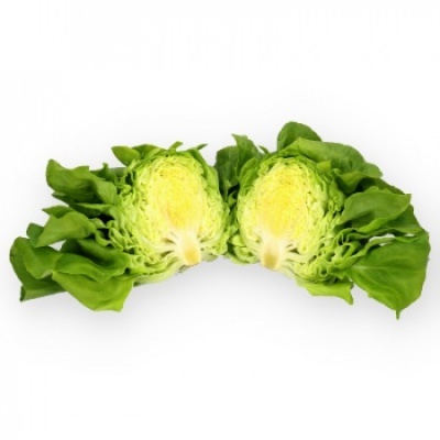Alface Verde Lisa (50 un) Alface Verde Lisa (50 un)
