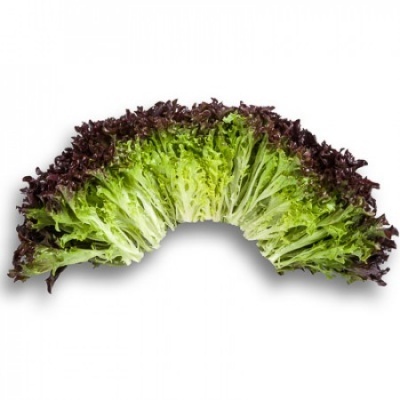 Alface Frisada Roxa (50 un)