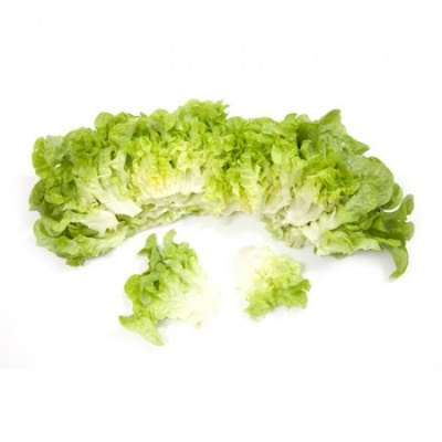 Alface Folha de Carvalho Verde (50 un)