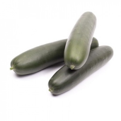 https://www.groho.pt/product/sementes-hibridas-pepino-modan https://www.groho.pt/product/sementes-hibridas-pepino-modan
