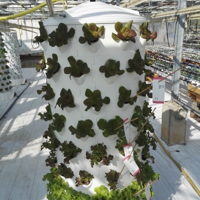 Torre Aeroponia - 120 plantas