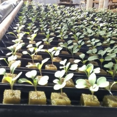 Placa Espuma Fenólica 2x2x2.4