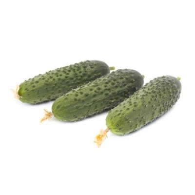 https://www.groho.pt/product/sementes-hibridas-pepino-myamara https://www.groho.pt/product/sementes-hibridas-pepino-myamara