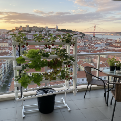 Horta vertical em tubo branco com plantas e morangos numa varanda com vista para Lisboa.