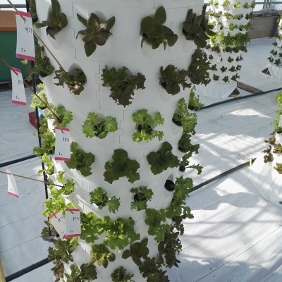 Torre Aeroponia - 120 plantas