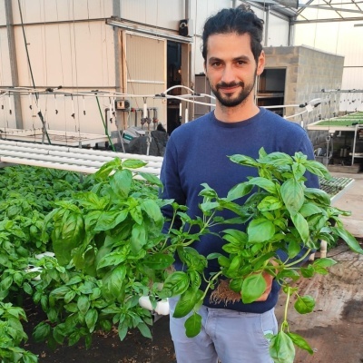 Estufa de Hidroponia (NFT) - Alcanena