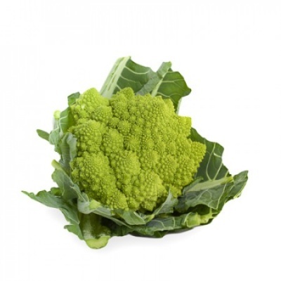https://www.groho.pt/product/sementes-hibridas-couve-flor-puntoverde https://www.groho.pt/product/sementes-hibridas-couve-flor-puntoverde