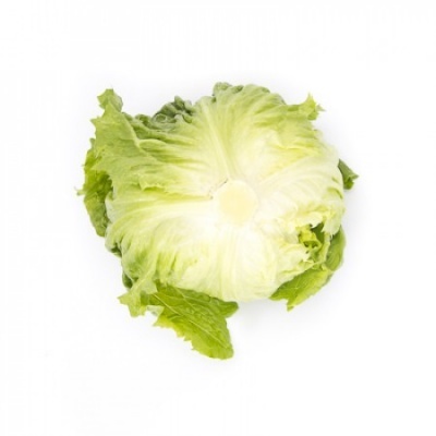 Alface Iceberg QUINCENAS Alface Iceberg QUINCENAS