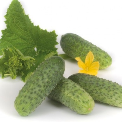 https://www.groho.pt/product/sementes-hibridas-pepino-surya https://www.groho.pt/product/sementes-hibridas-pepino-surya