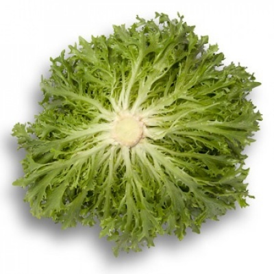 https://www.groho.pt/product/alface-frisada-verde https://www.groho.pt/product/alface-frisada-verde